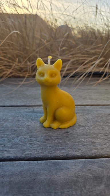 Gelbe Katzenkerze sitzt auf einem Holztisch vor einer natürlichen Kulisse.