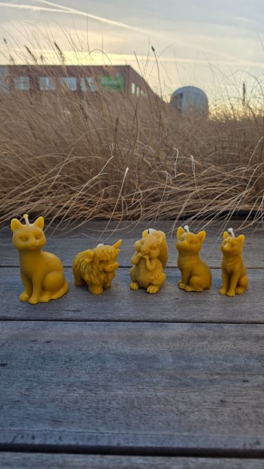 Fünf gelbe Figuren von Katzen, in einer Reihe auf einem Holzuntergrund.