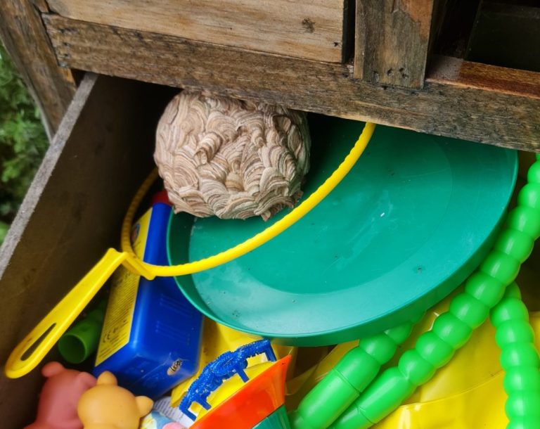 Nest der Gemeinen Wespe in einer Schublade Bunte Spielzeuge in einer Kiste, darunter ein grüner Teller und ein Wespennest