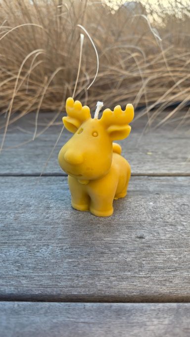 Gelbe Elchkerze auf einem Holztisch, umgeben von dekorativem Gras.