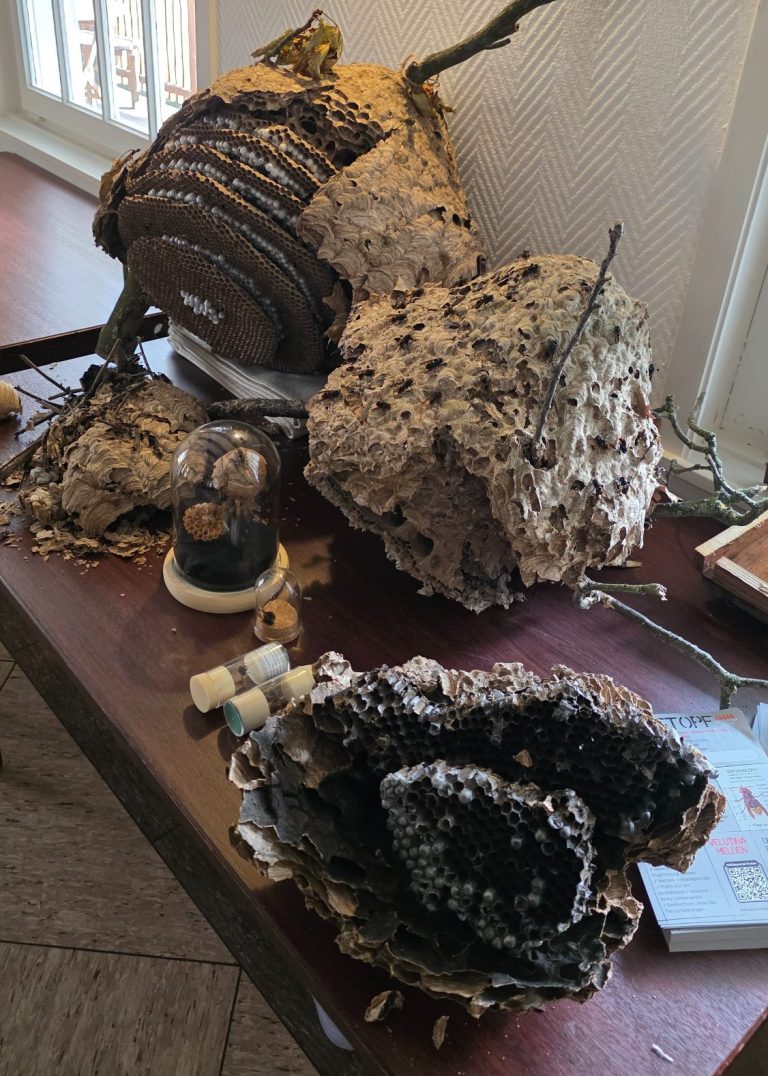 Zwei große, unregelmäßige Objekte, die aus Naturmaterialien und Holz bestehen.