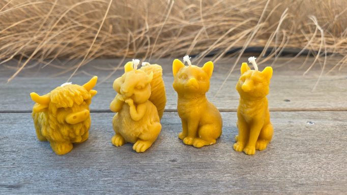 Vier gelbe Kerzen in Form von Tieren: ein Hochlandrind, ein Eichhörnchen und zwei Katzen.